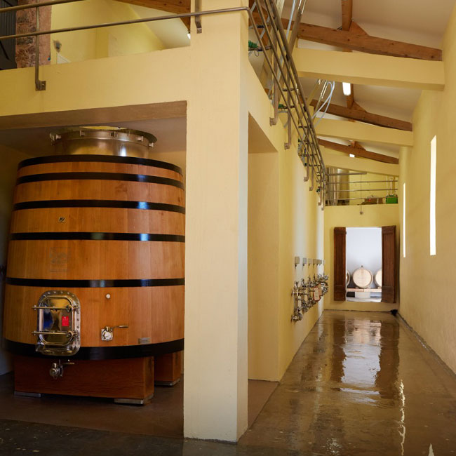 The interior of our Cellar